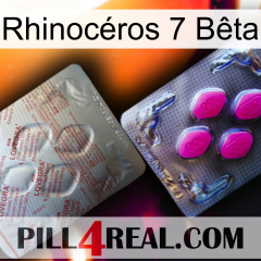Rhinocéros 7 Bêta 38